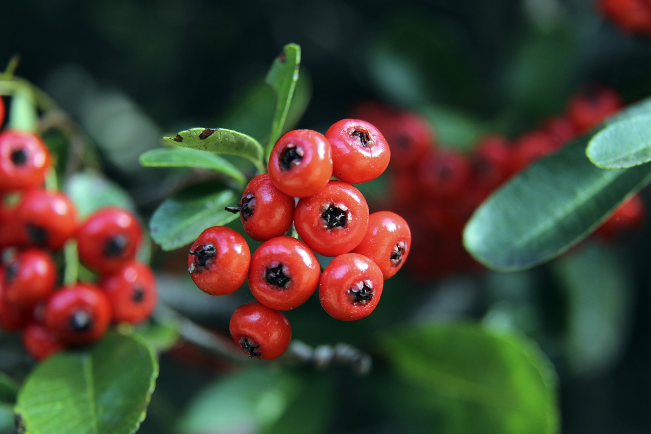 了球队战斗 了球队战斗