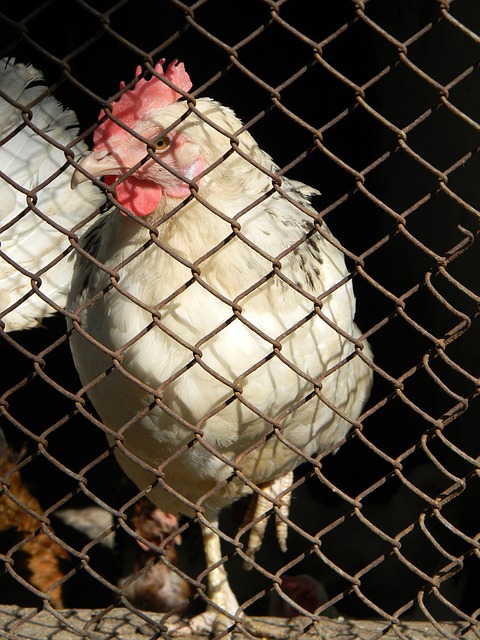 周全和细致 周全和细致