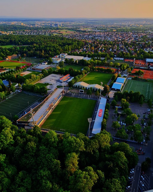 队合作的体 队合作的体