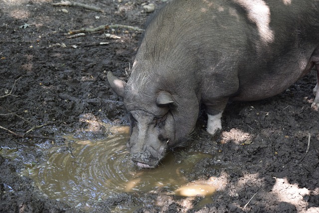 实力的对比 实力的对比