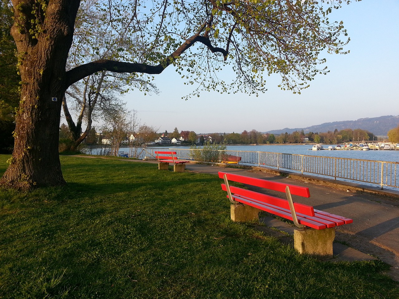 确保运动员 确保运动员